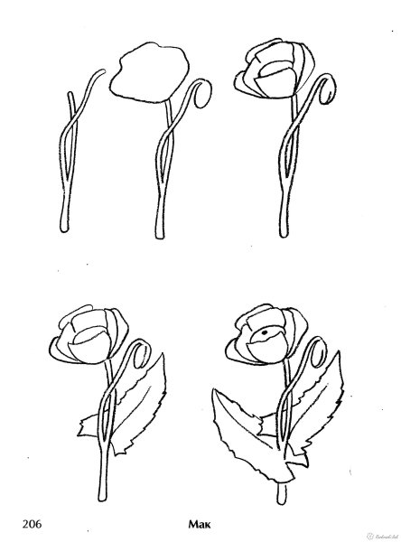 Пошаговые рисунки цветов