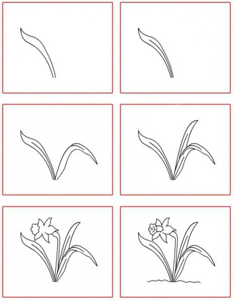 Поэтапное рисование тюльпана
