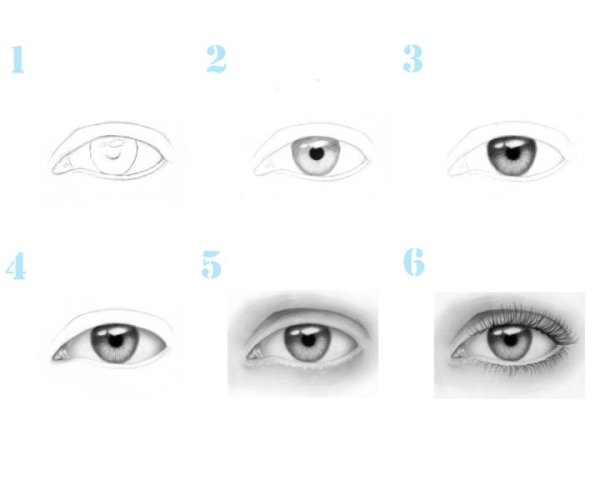 Этапы рисования глаз