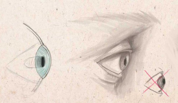 Глаз с боку