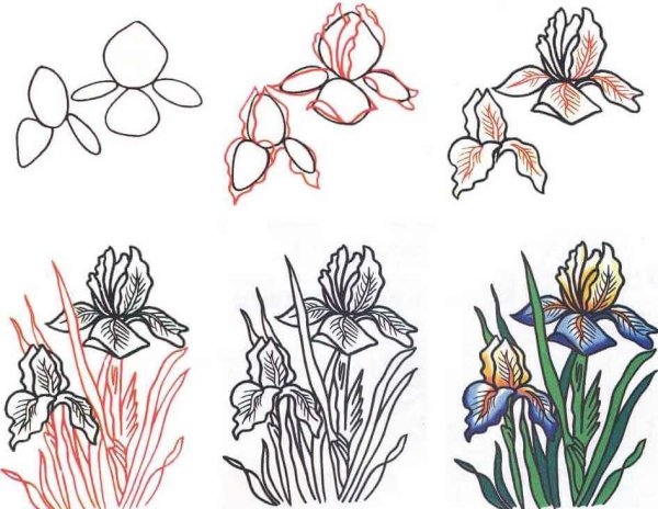 Уроки рисования цветов