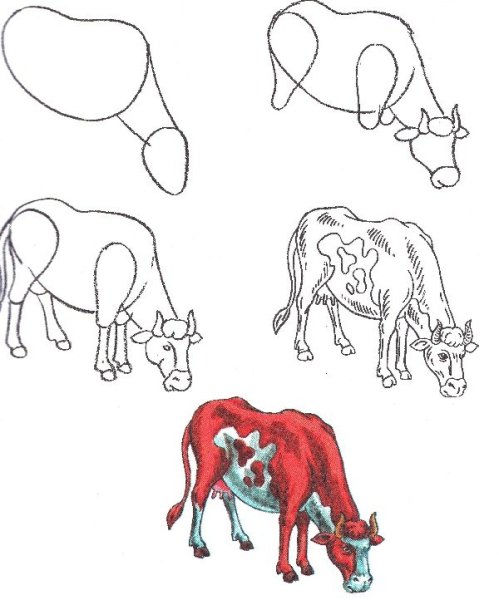 Рисование коровы