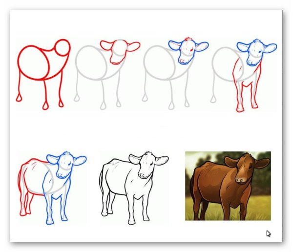 Схема рисования домашних животных