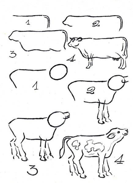 Рисование коровы