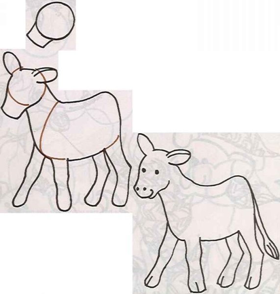 Поэтапное рисование теленка