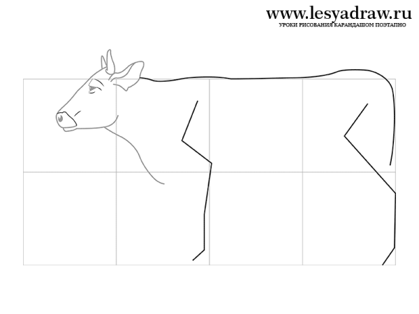 Как рисовать корову поэтапно