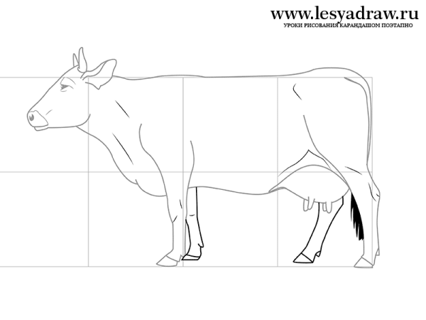 Схематичная корова