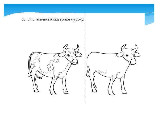 Домашние животные корова рисунок поэтапно