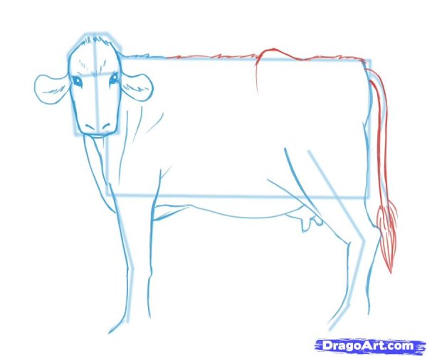 Рисунки коров для новичков