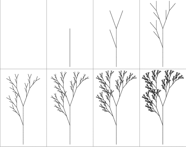 Нарисовать волнистого попугая для детей