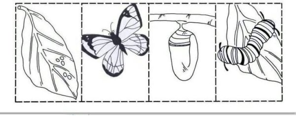 Идеи для флипбука