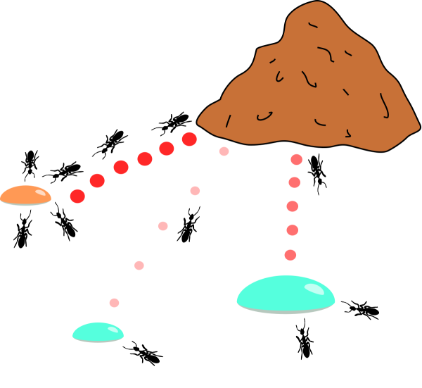 Муравейник рисунок