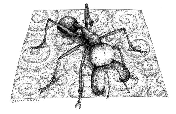 Муравейник Графика