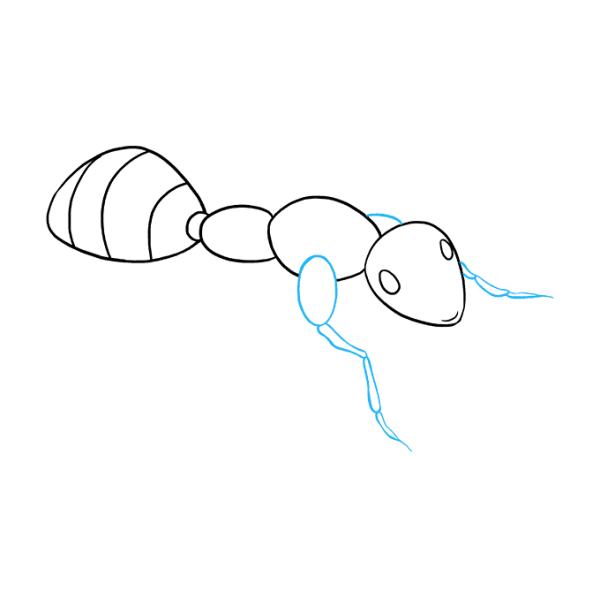 Поэтапное рисование муравья для детей