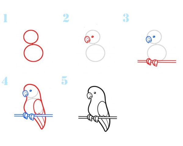 Последовательность рисования зайца в старшей группе