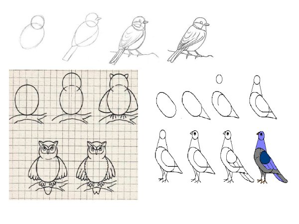 Поэтапное рисование смешариков