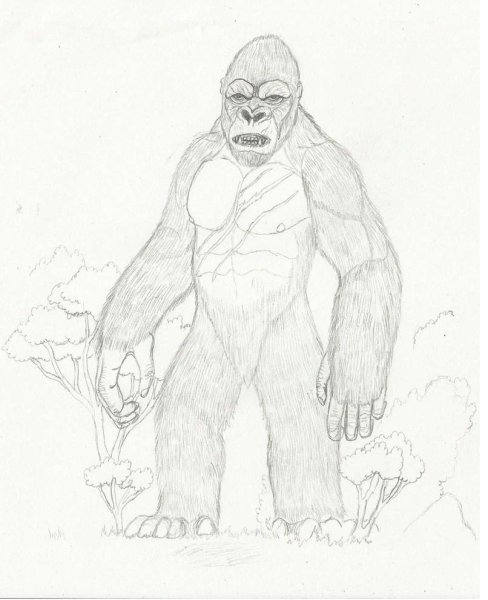 Раскраска Конг остров черепа