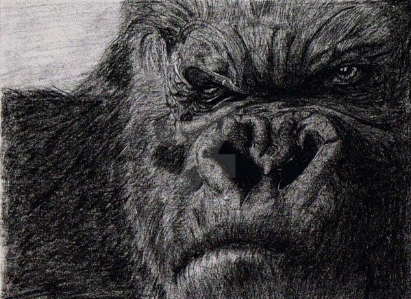 Морис Кин Конг