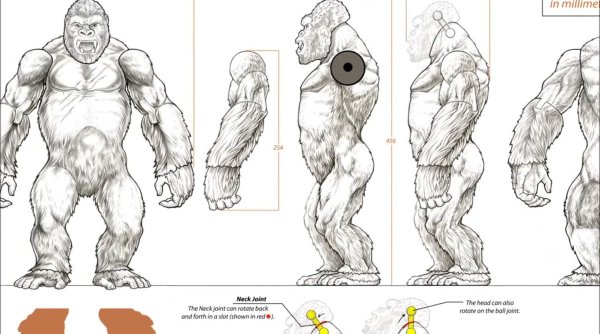 Раскраска Кинг Конг остров черепа