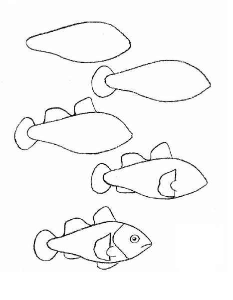 Поэтапное рисование рыбы для дошкольников