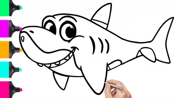 Раскрашиваем акулу с детьми