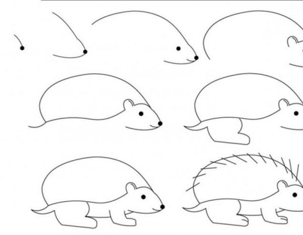 Рисование ежика поэтапно