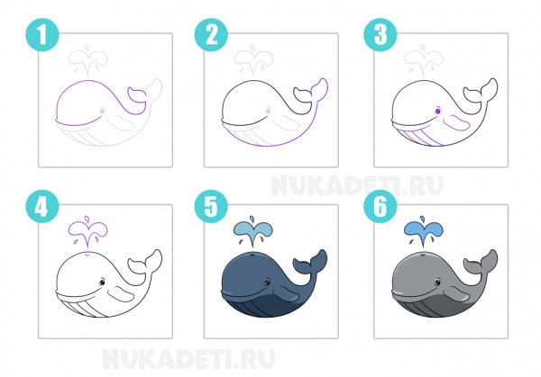 Кит поэтапное рисование