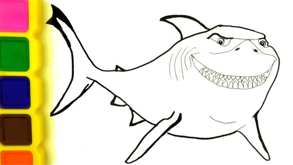 Акула для рисования детская