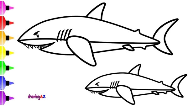 Дорисуй акулу