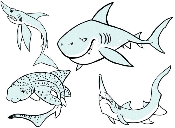 Раскраска рыба акула