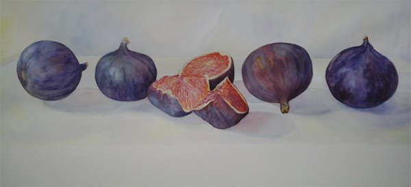Инжир акварелью поэтапно