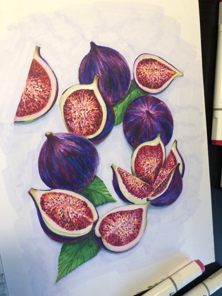 Инжир стилизация