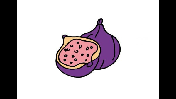 Как нарисовать инжир