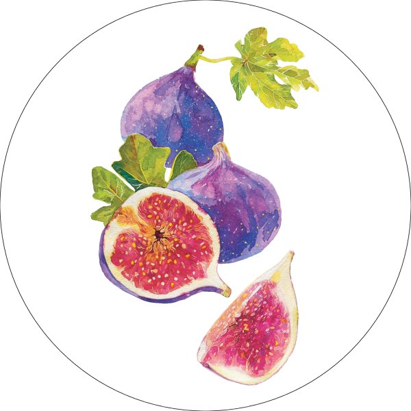 Инжир цветными карандашами