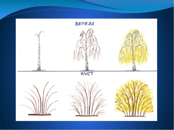 Схема рисования человека для детей