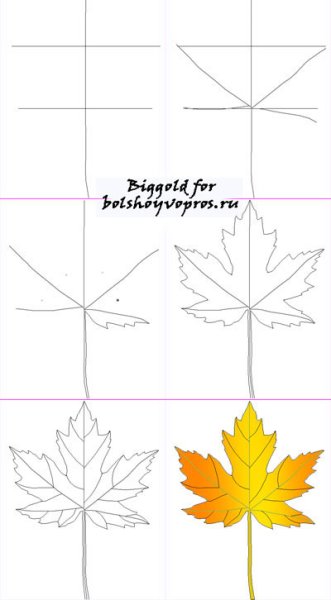 Нарисовать лист клена поэтапно