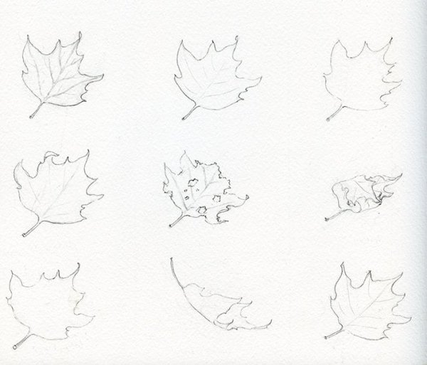Лист клена поэтапное рисование