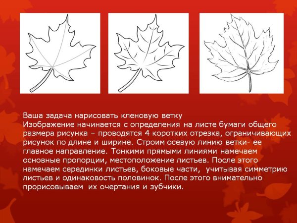 Построение кленового листа