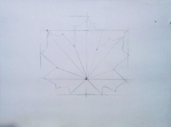 Этапы рисования листа клена