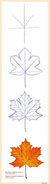 Лист клена поэтапное рисование