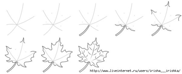 Кленовый лист карандашом