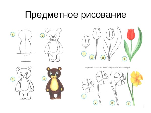 Предметное рисование