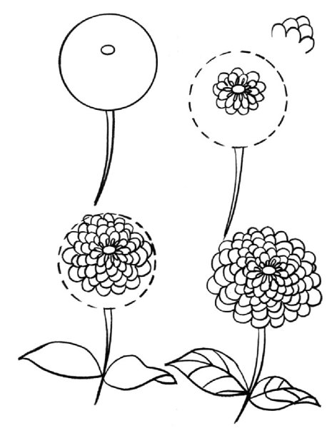 Нарисовать хризантему карандашом поэтапно