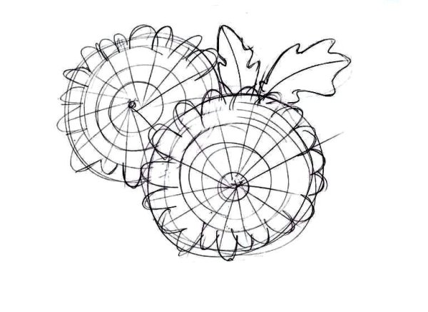 Поэтапное рисование хризантемы