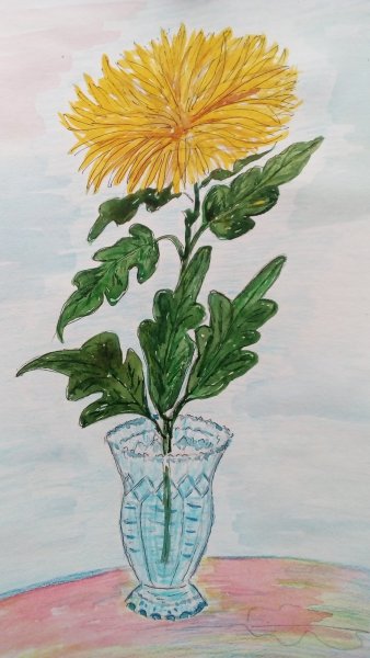 Хризантема детский рисунок
