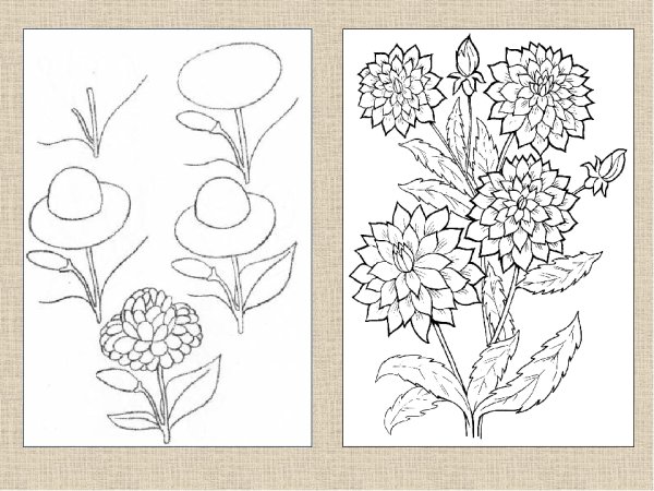 Поэтапное рисование осенних цветов