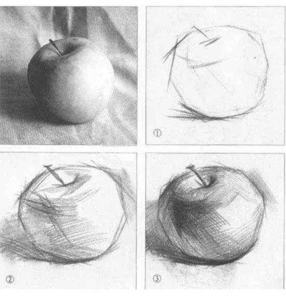 Рисование с натуры фруктов