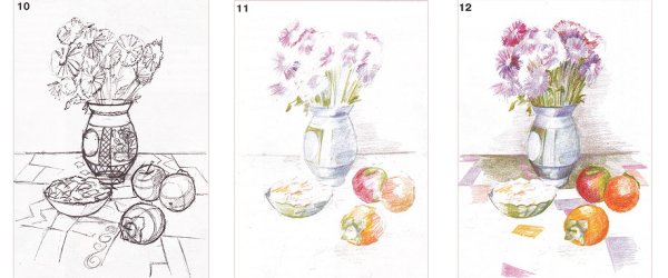 Этапы рисования натюрморта карандашом