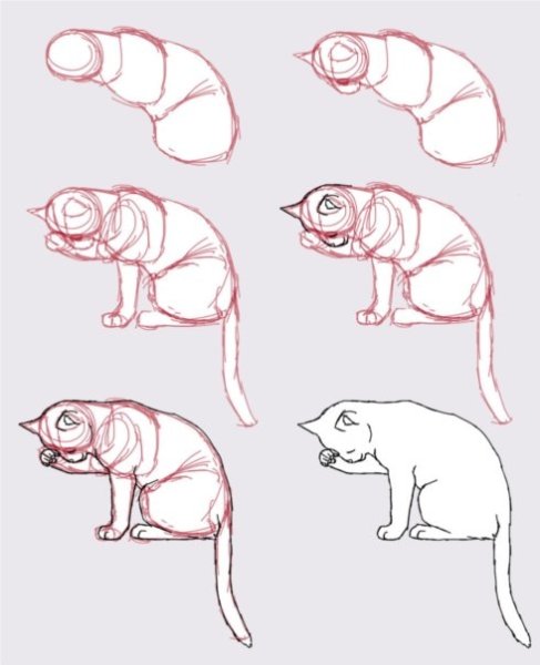 Туториал вислоухий кот