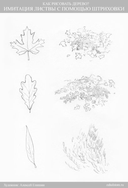 Рисование листвы деревьев карандашом